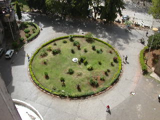 garden.jpg